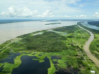 Tepnou Amazonského pralesa je
