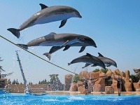 Vodný park Marineland, Barcelona, Španielsko