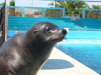 Podmorský svet Marineland, Francúzska riviéra