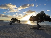 Aruba