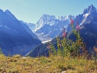 2adovec Mer de Glace pri Mont Blancu, Francúzsko
