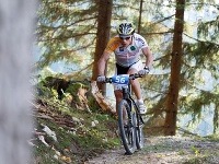 Cykloturistika v Dolnom Rakúsku
