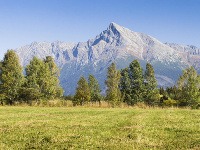 Kriváň