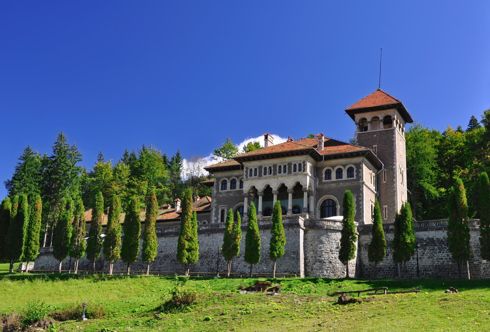 Zabudnite na Draculu: Najkrajšie