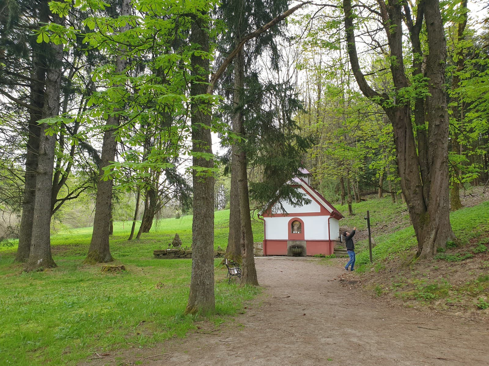 Dokonale čistý vzduch, liečivá