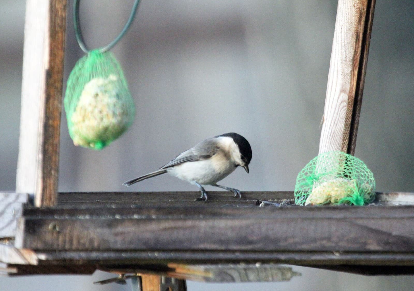 Эксперты советуют: так и будет