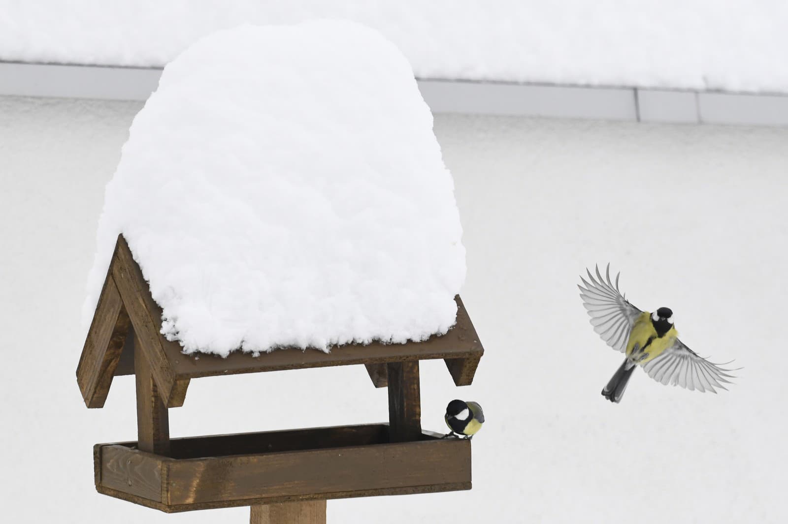 Эксперты советуют: так и будет