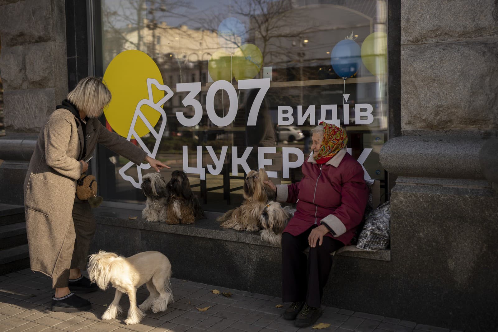 Ruskí dobrovoľníci odvážajú túlavé