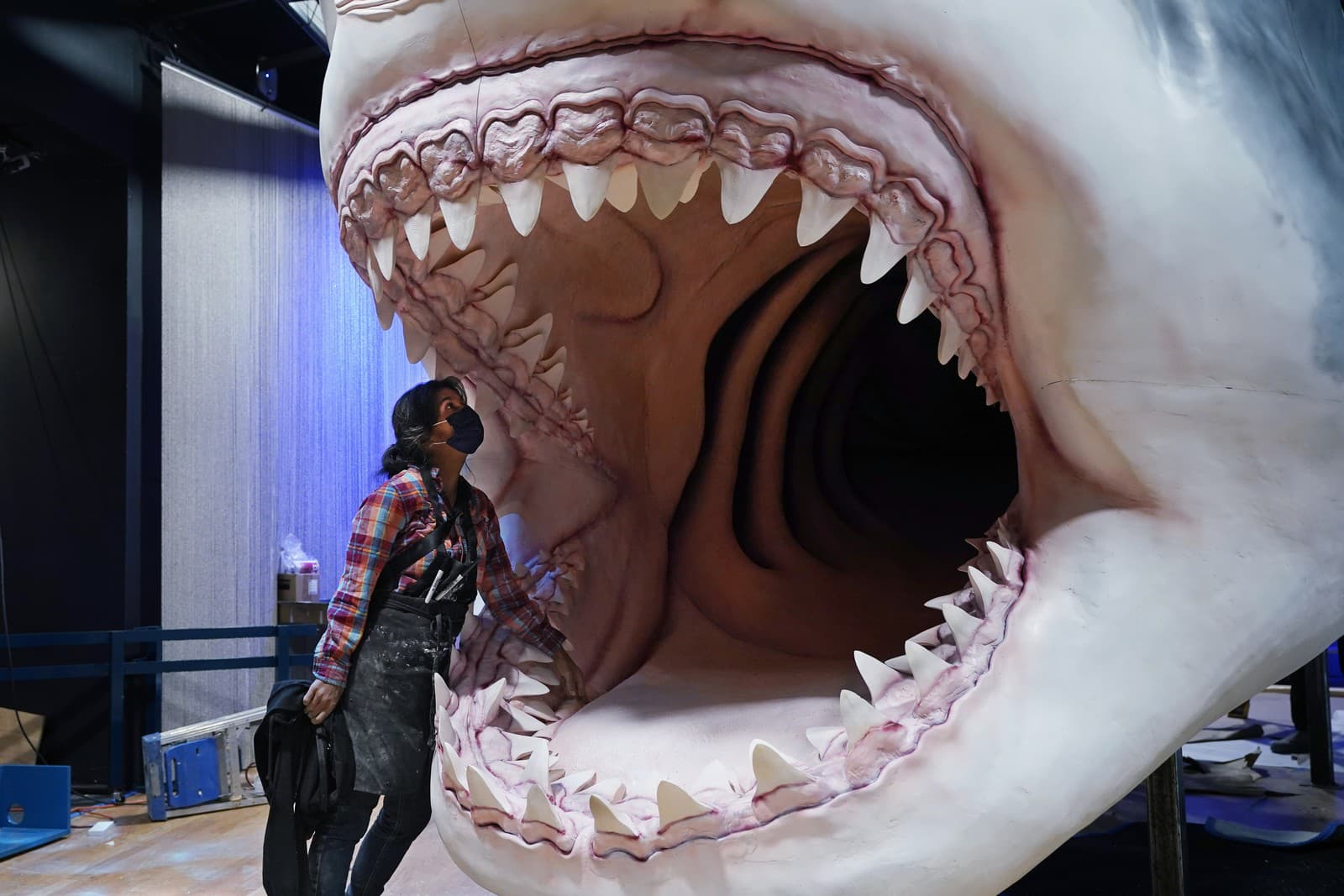 Megalodon patril k najstrašidelnejším
