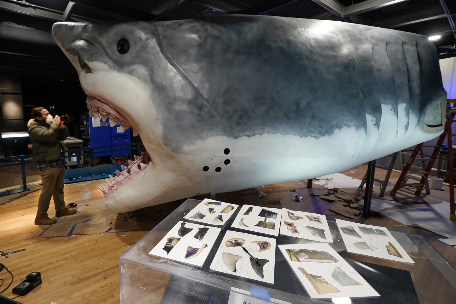 Megalodon patril k najstrašidelnejším