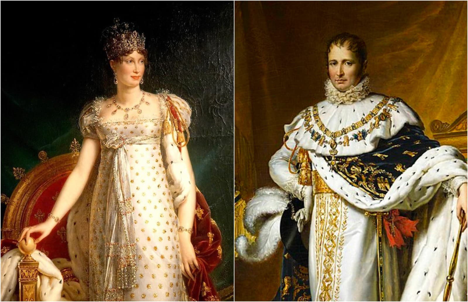 Jediný dedič Napoleona: Osud
