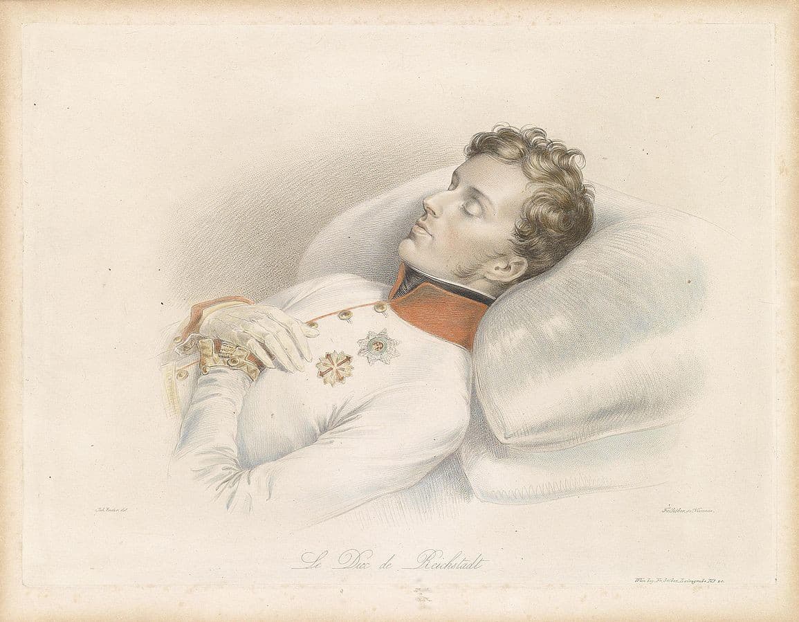 Jediný dedič Napoleona: Osud