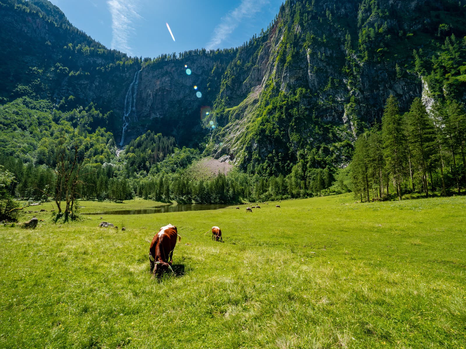 Najvyššie a najkrajšie: Všetky