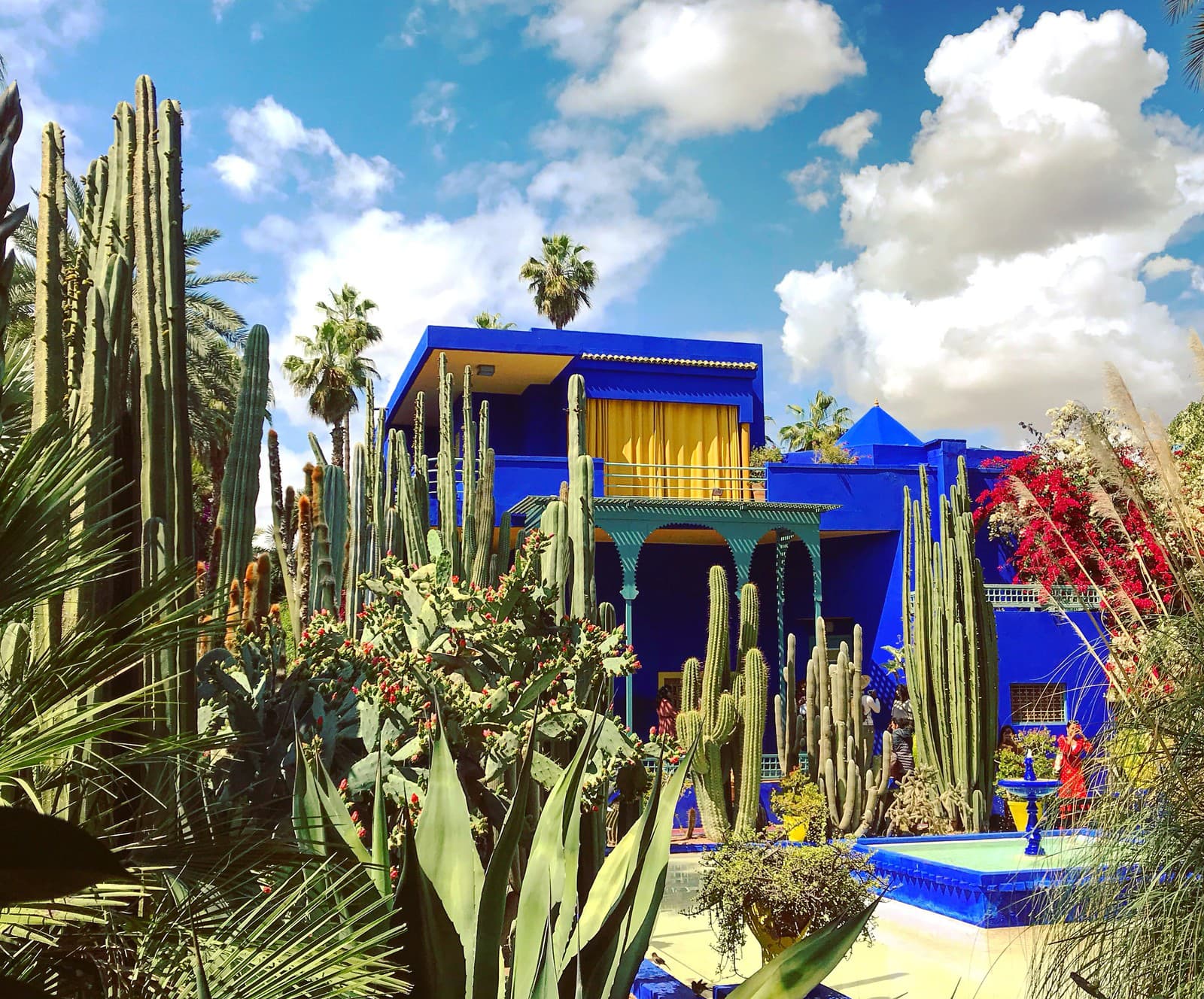 Záhrady Le Jardin Majorelle