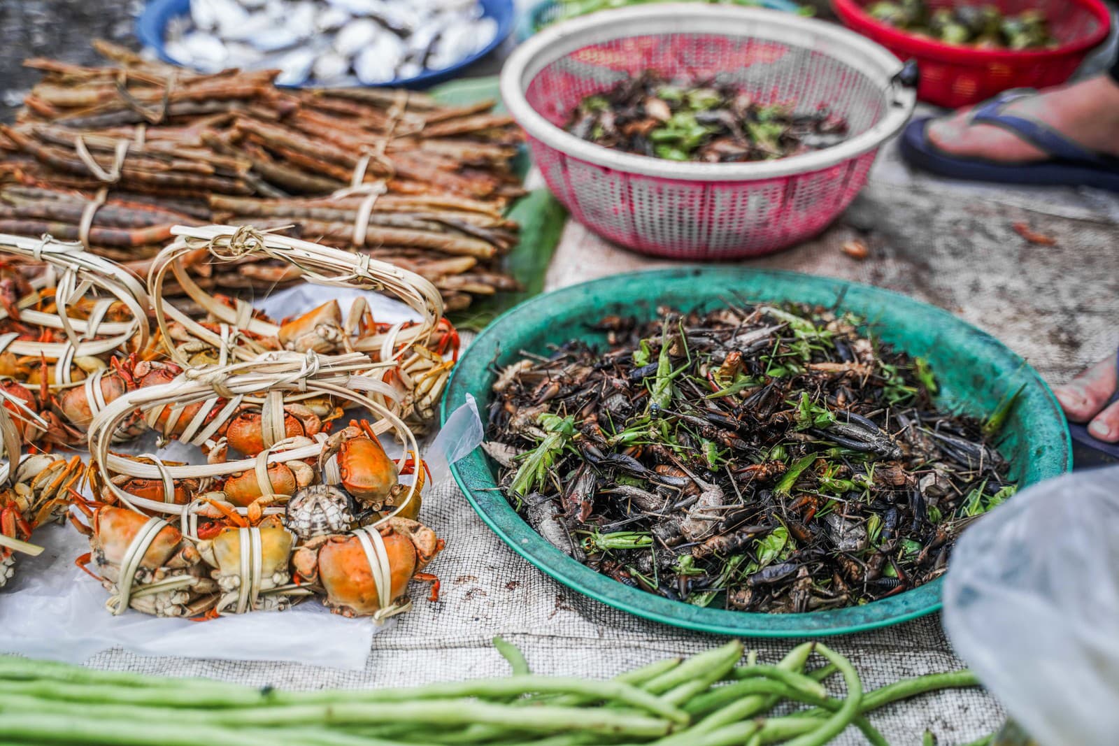 FOTOREPORTÁŽ: Laos je skrytým