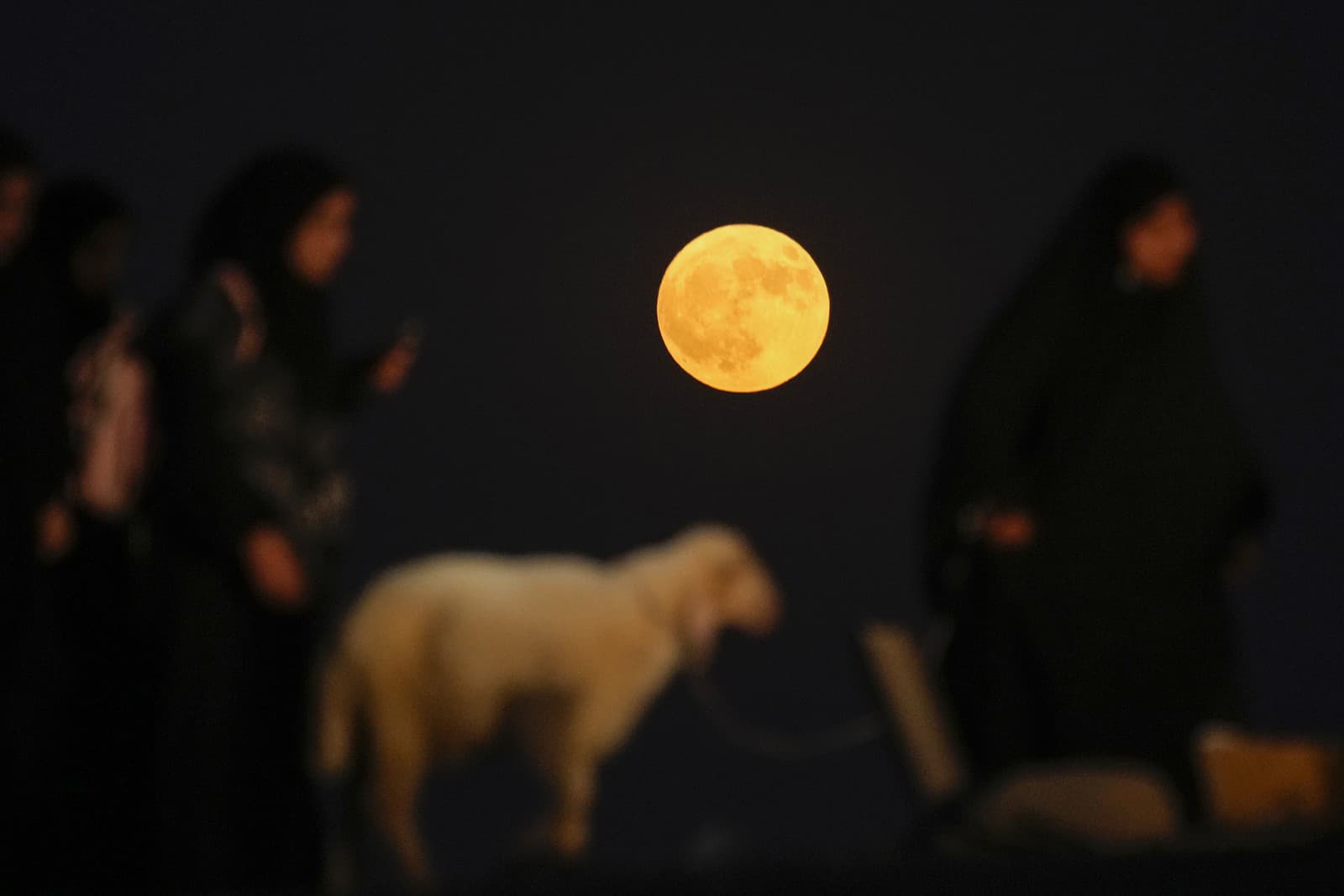 Šiitski pútnici, ktorí pochodujú do Karbaly na rituál Arbaeen v Babile