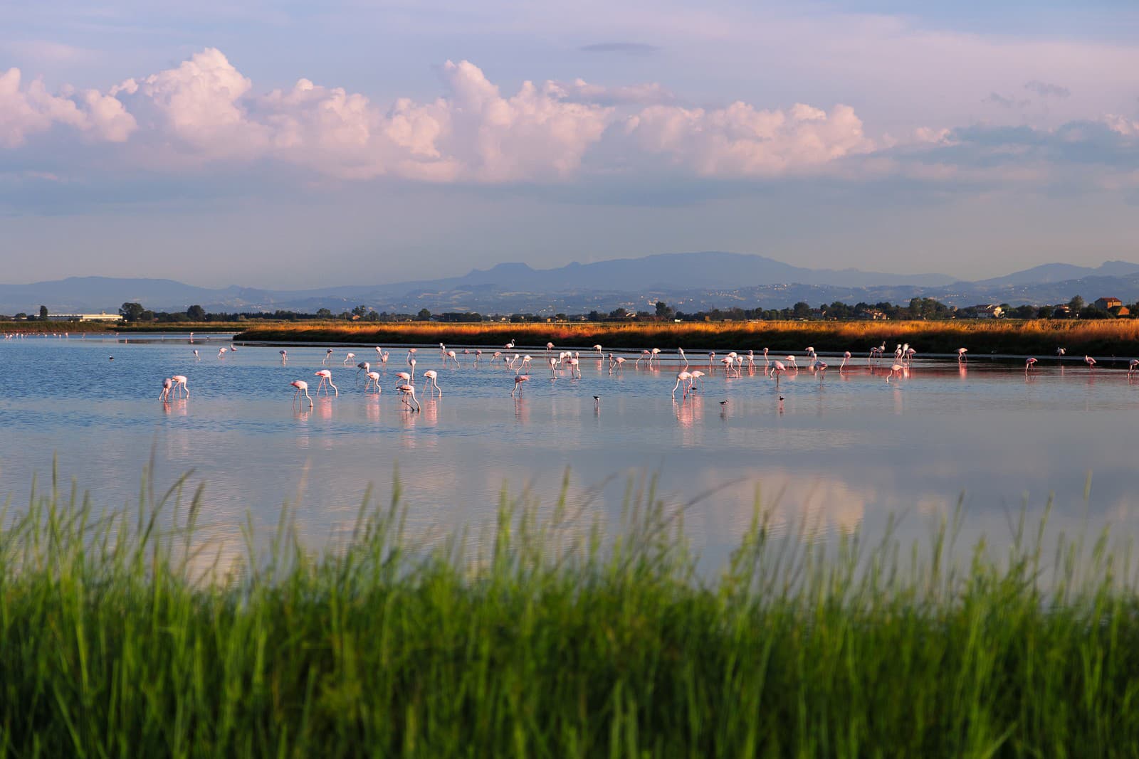 Ravenna je mesto ako