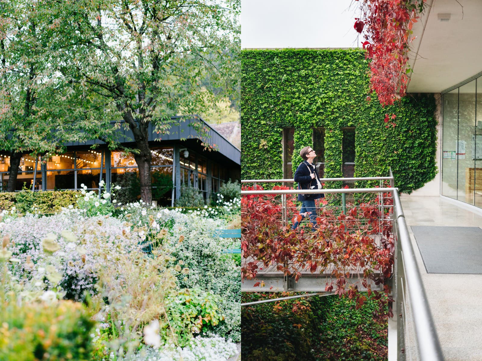 Giverny bolo najväčšou láskou