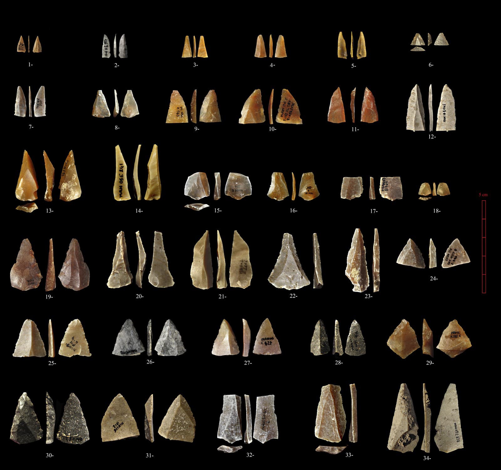 Prekvapivé tvrdenie vedcov: Neandertálci