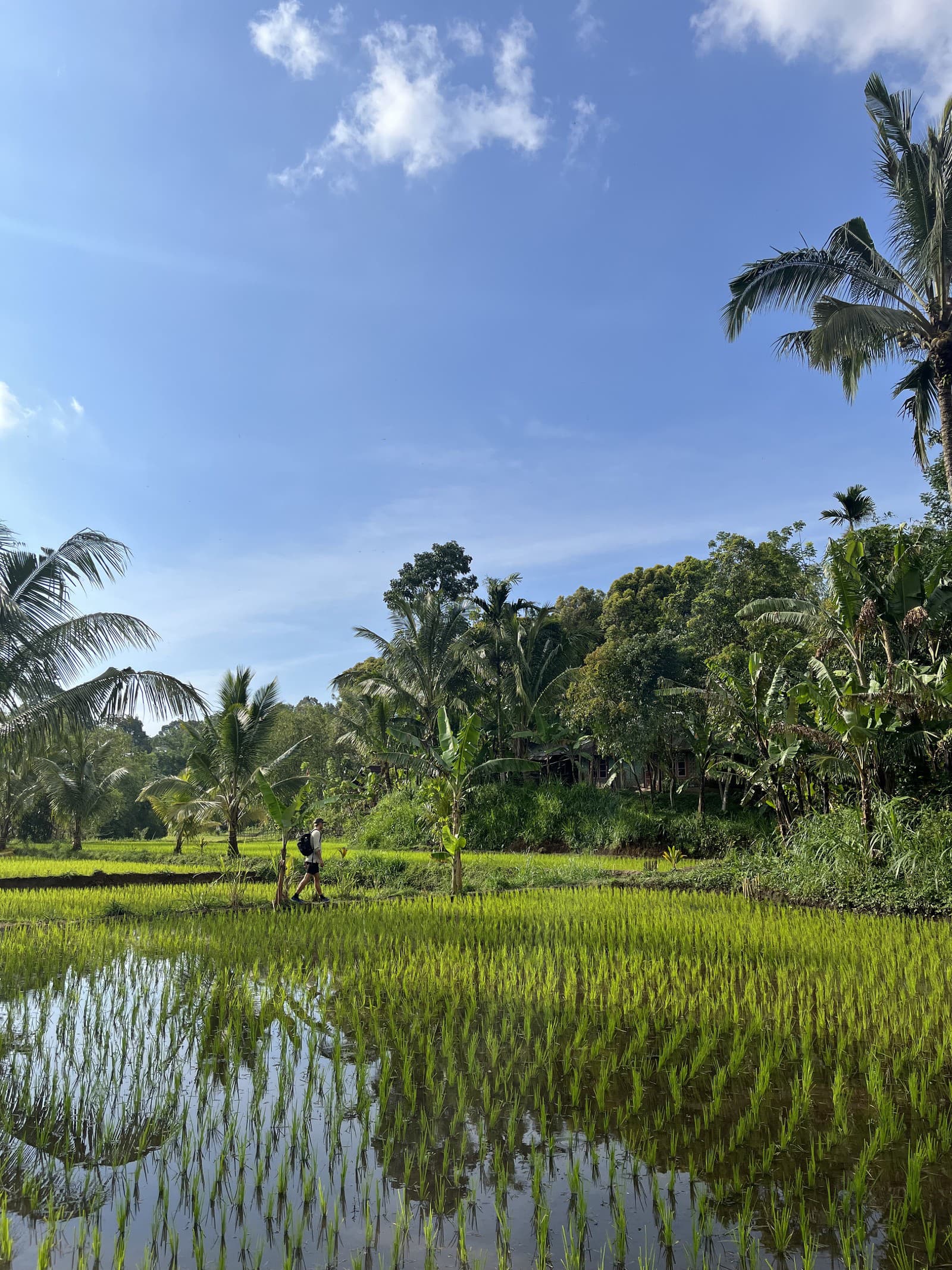 Bali vs. Lombok: Dva