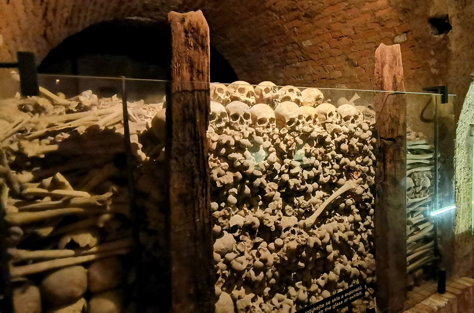 Состояние скелетов