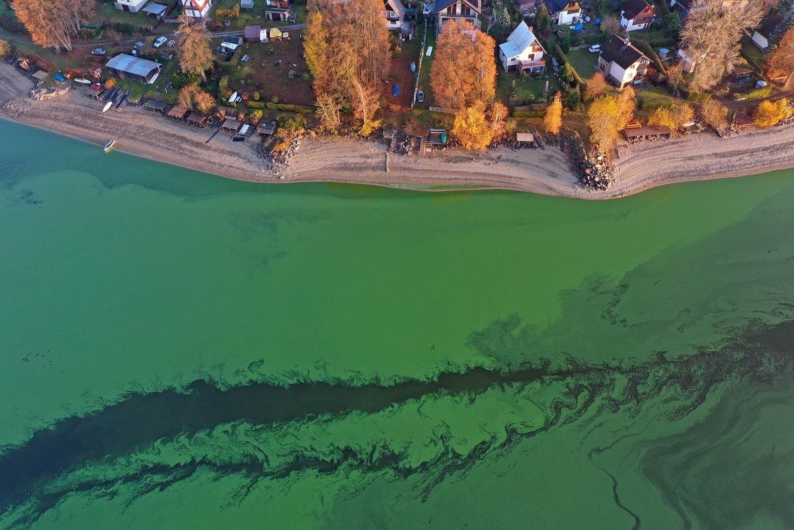 Увлекательная игра природы: Плотина