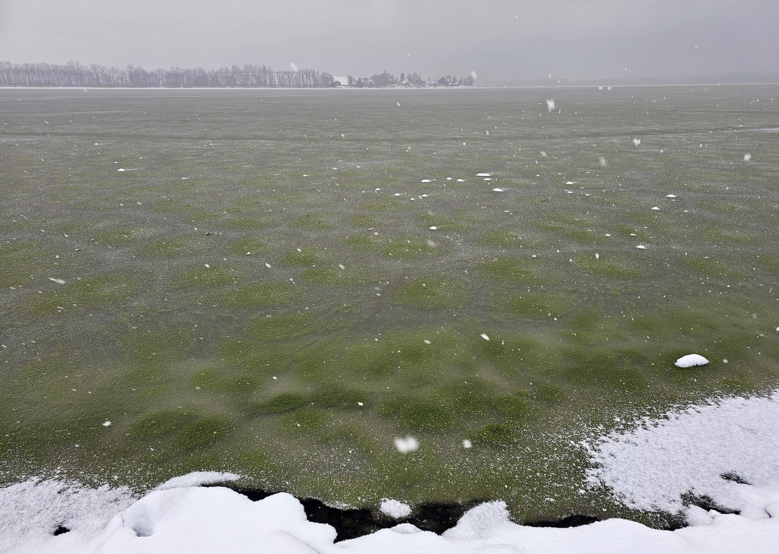 Увлекательная игра природы: Плотина