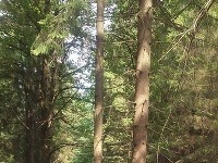 Gaderská dolina