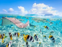 Bora Bora – dokonalá perla Polynézie