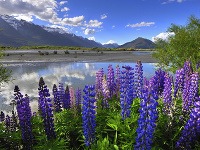 Queenstown - najdobrodružnejšie mesto protinožcov