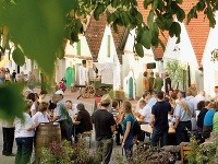 Toto je 5 dôvodov, pre ktoré sa oplatí navštíviť Dolné Rakúsko počas vinárskej jesene
