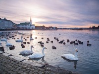 Islandský Reykjavík: Malé mesto s veľkou dušou