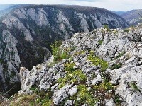 Pohľad do tiesňavy