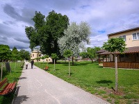 Hronsek