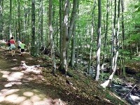 Morské oko