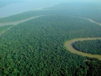 Amazonský prales, Brazília Amazonský prales, Brazília