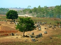 Planina džbánov, Laos