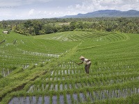 Bali, Indonézia