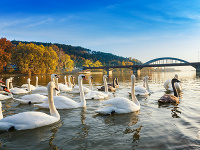 Piešťany. © Thinkstock