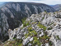 Slovenský kras: 270 kilometrov Slovenský kras: 270 kilometrov