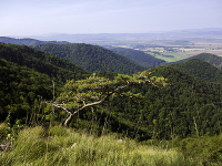 Veľká Fatra