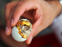 Balut