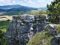 Národná prírodná rezervácia Dreveník 