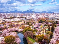 Hrad Himedži, Japonsko
