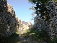 Všatské bralá
