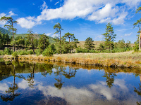 Pohorie Zlatibor, Srbsko