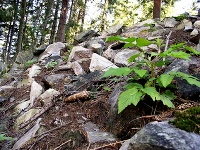 Obrí hrad – jedno z najtajomnejších miest v Čechách