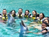 © Ocean World Adventure Park & Marina