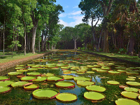 © Mauritius Tourism / LY Hoang Long