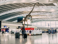 Letisko Heathrow kontroluje dinosaurus Letisko Heathrow kontroluje dinosaurus